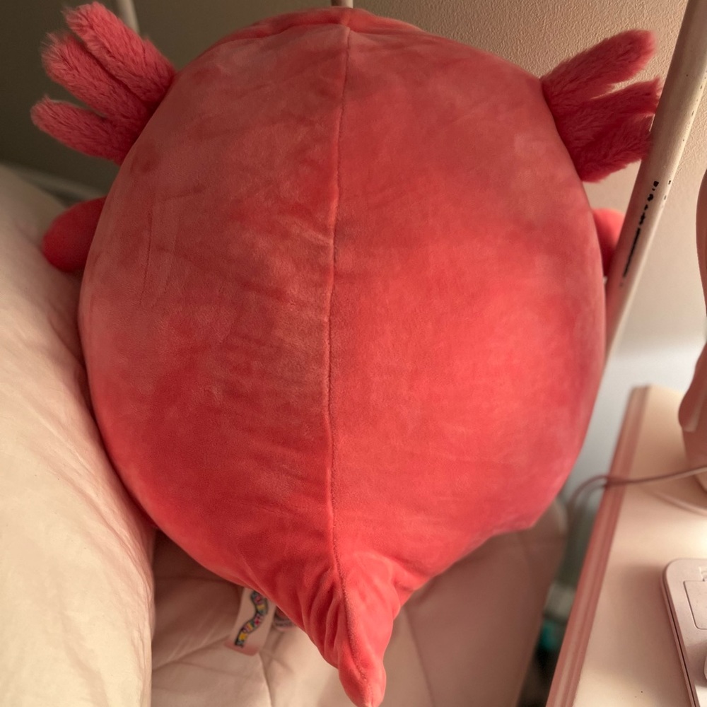 Archie Squishmallow - Picture 2 of 4